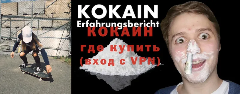 Cocaine Fish Scale  ОМГ ОМГ ССЫЛКА  Заозёрск 