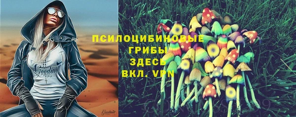 PSILOCYBIN Вуктыл