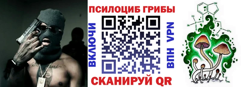 купить наркотики сайты  Заозёрск  Галлюциногенные грибы Magic Shrooms 